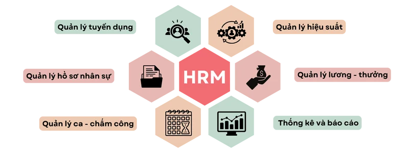 Các chứng năng trong phần mềm HRM
