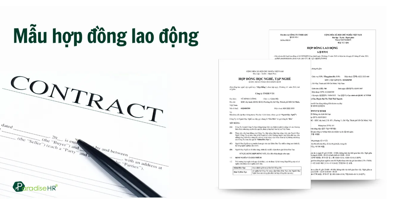 Mẫu hợp đồng lao động mới nhất 2025 chuẩn Bộ Luật Lao Động