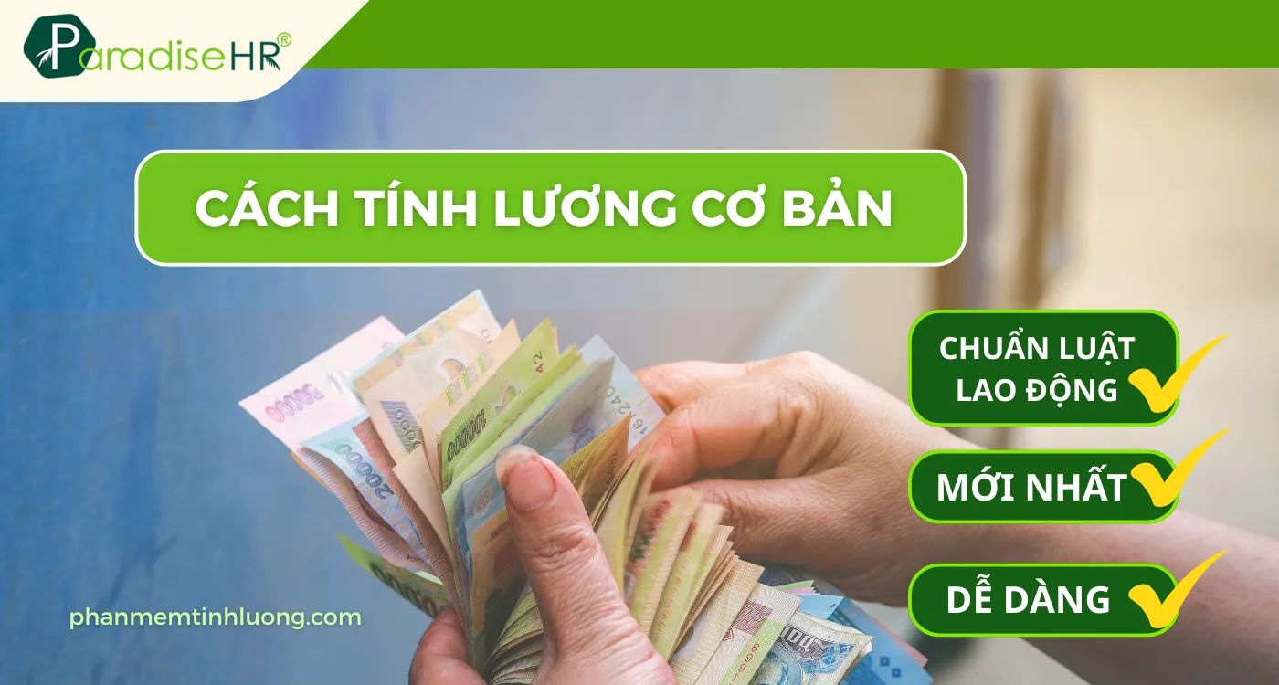 Cách Tính Lương Cơ Bản Chuẩn Luật Lao động – Nghị định số 293/2025/NĐ-CP