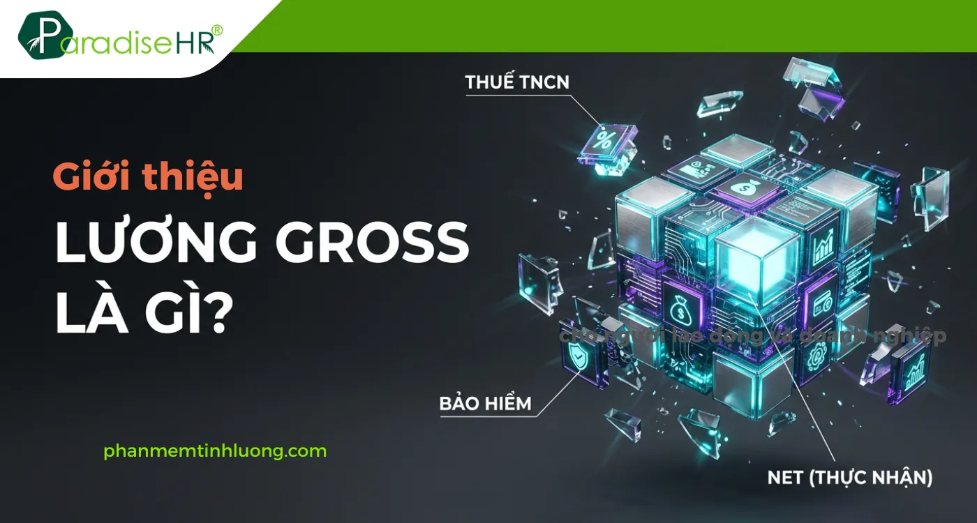 Lương Gross là gì? Phân Biệt Lương Gross Và Lương Net Mới Nhất 2026